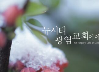 미리보는 11월 29일 주보