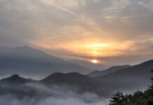 “오른손에 맞닿은 그늘”