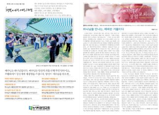 미리보는 5월 31일 주일 주보